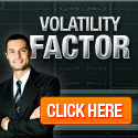 Volatility Factor