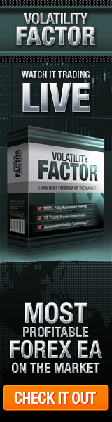 Volatility Factor