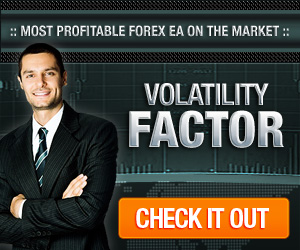 Volatility Factor