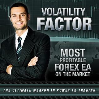 Volatility Factor