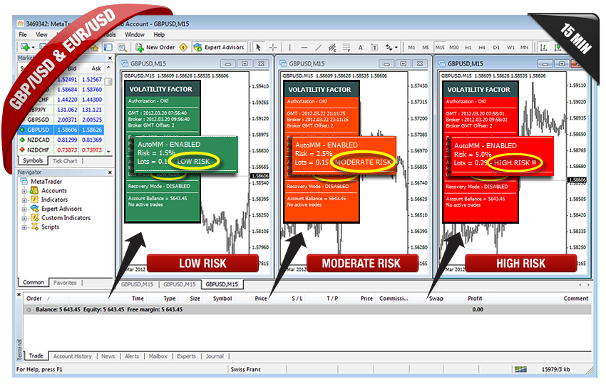 Volatility Factor EA risks